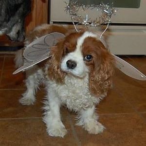 Meet your Posher, Valerie